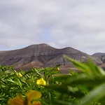 Aloha Lejlighed La Oliva