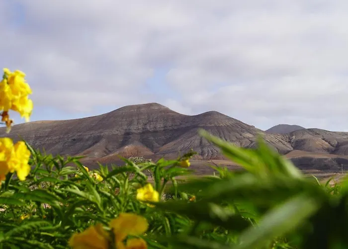 Aloha Apartman La Oliva