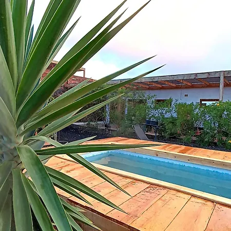 Appartement Aloha