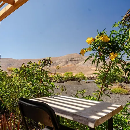 Aloha * 라 올리바