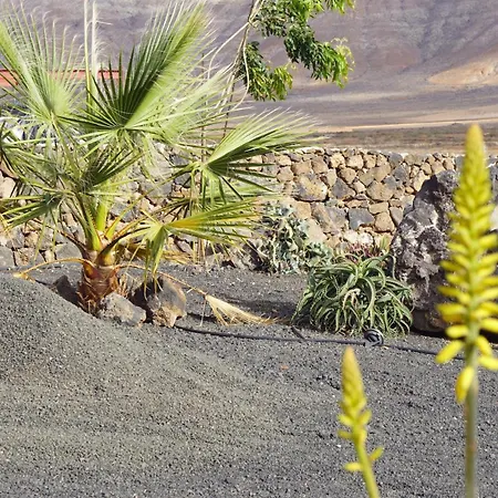 Aloha 아파트 라 올리바