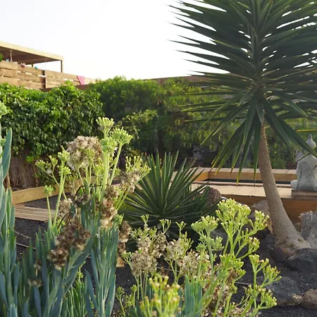 Aloha Apartamento La Oliva