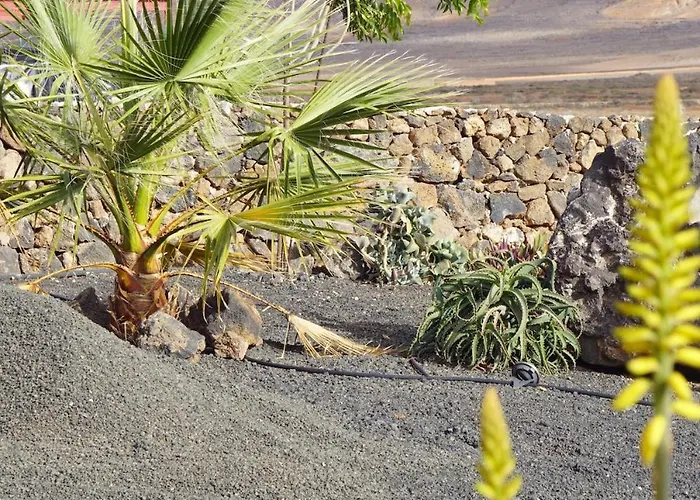 Aloha Apartment La Oliva