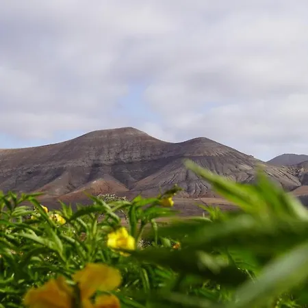 Aloha Appartement La Oliva